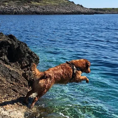 Casa Diana ベッド・アンド・ブレックファスト